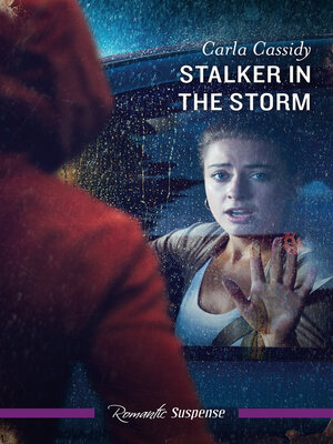 cover image of Stalker In the Storm